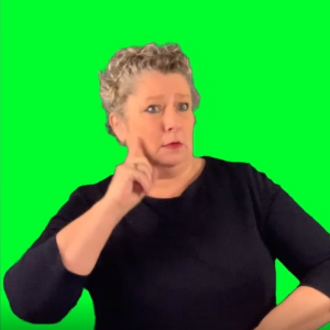 A BSL interpreter against a digital block colour green background