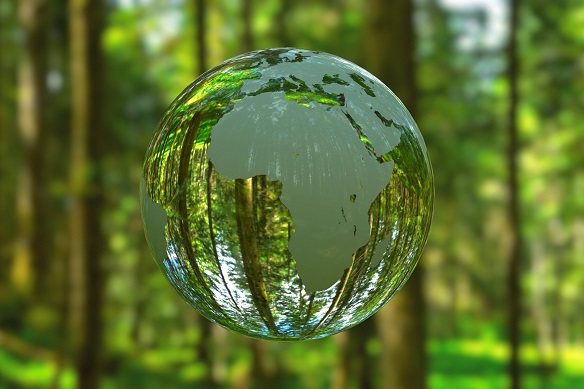 A waterdrop is shaped like a globe and hangs in a forest