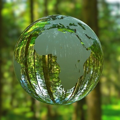 A waterdrop is shaped like a globe and hangs in a forest